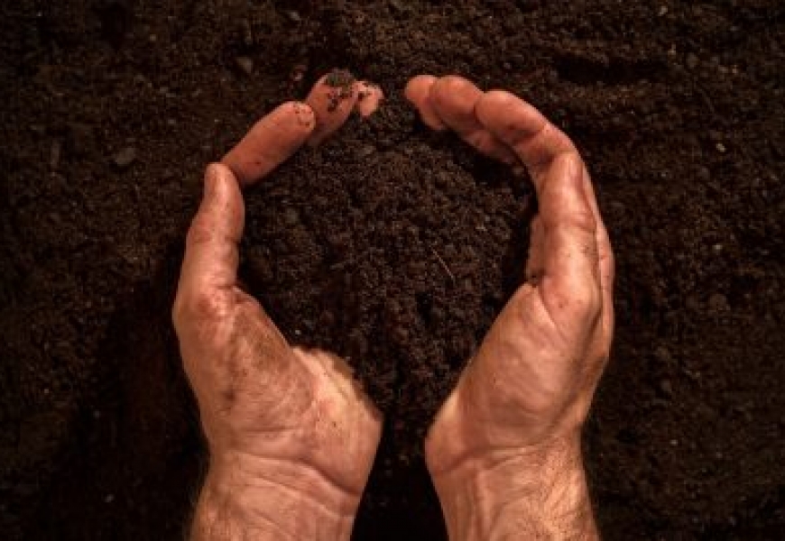 fertile-soil-in-dirty-male-hands-P3H8WH5-e1549619644452_large البوليتر - مقــــالات